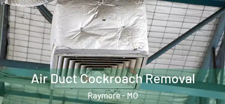  Air Duct Cockroach Removal Raymore - MO