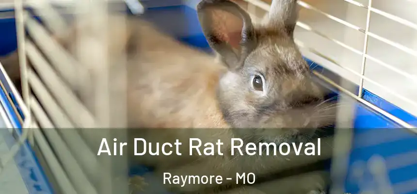  Air Duct Rat Removal Raymore - MO