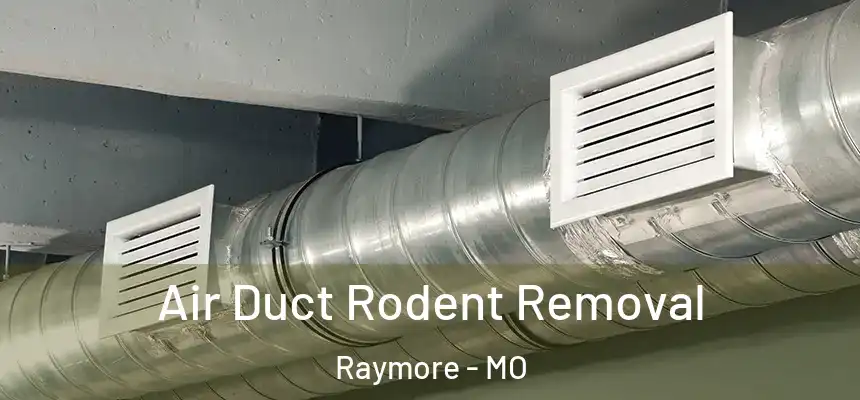  Air Duct Rodent Removal Raymore - MO