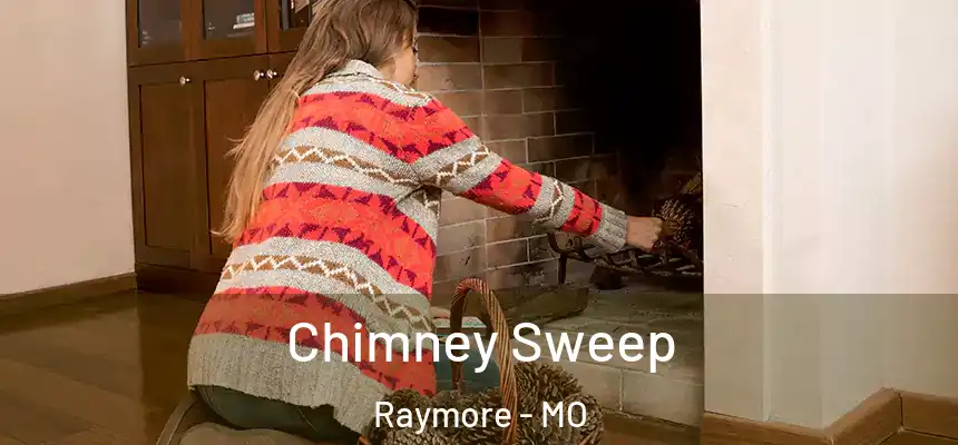  Chimney Sweep Raymore - MO