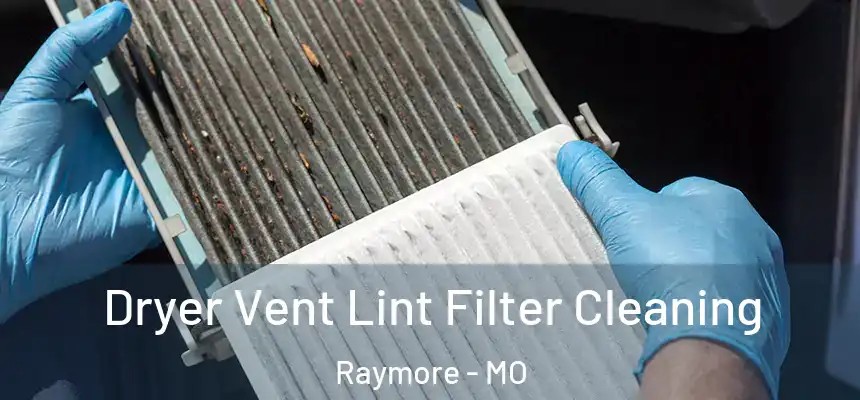  Dryer Vent Lint Filter Cleaning Raymore - MO
