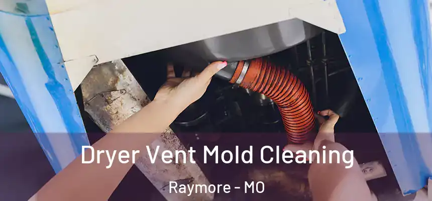  Dryer Vent Mold Cleaning Raymore - MO