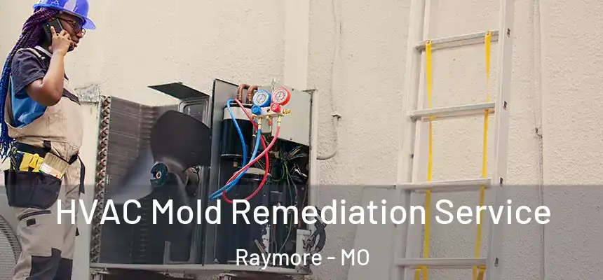  HVAC Mold Remediation Service Raymore - MO