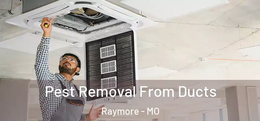  Pest Removal From Ducts Raymore - MO