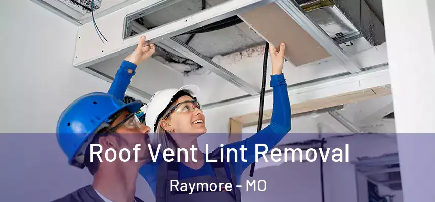  Roof Vent Lint Removal Raymore - MO