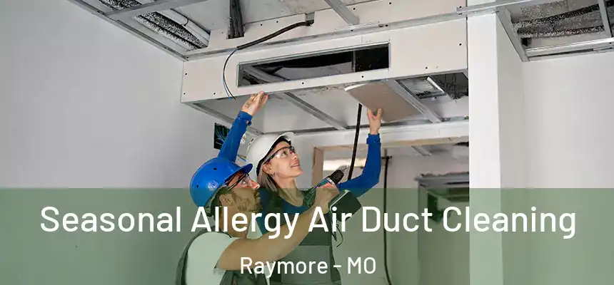  Seasonal Allergy Air Duct Cleaning Raymore - MO
