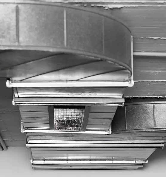 Professional Air Duct Pet Hair Removal in Raymore, MO