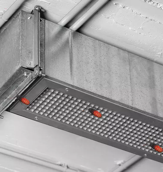 Affordable Insect Removal from Air Ducts in Raymore, MO