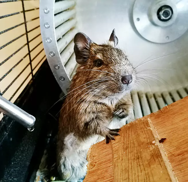 Why Homeowners & Businesses Trust Us Raymore, MO