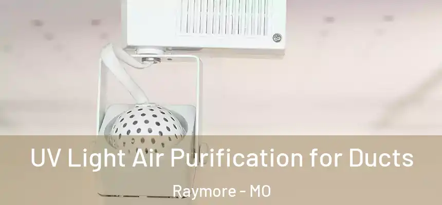  UV Light Air Purification for Ducts Raymore - MO